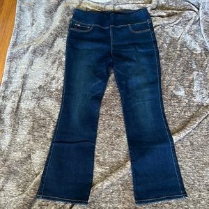 Brand New and Never Worn DG2 by Diane Gilman Jeans
